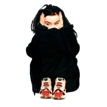 bjork png