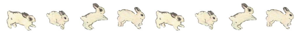 bunnies png