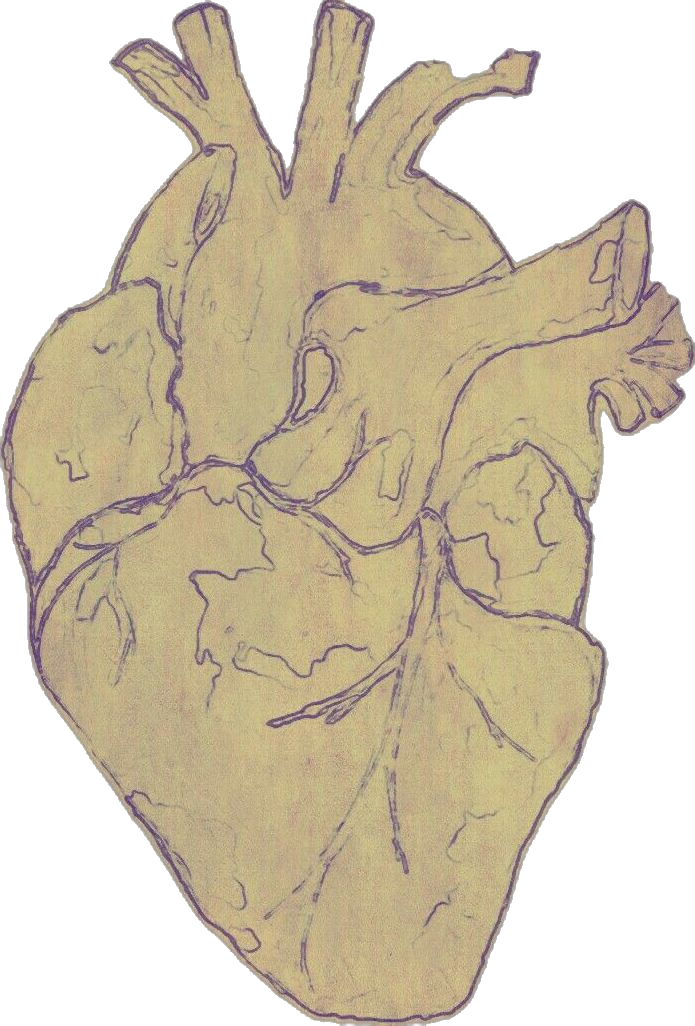 paper heart