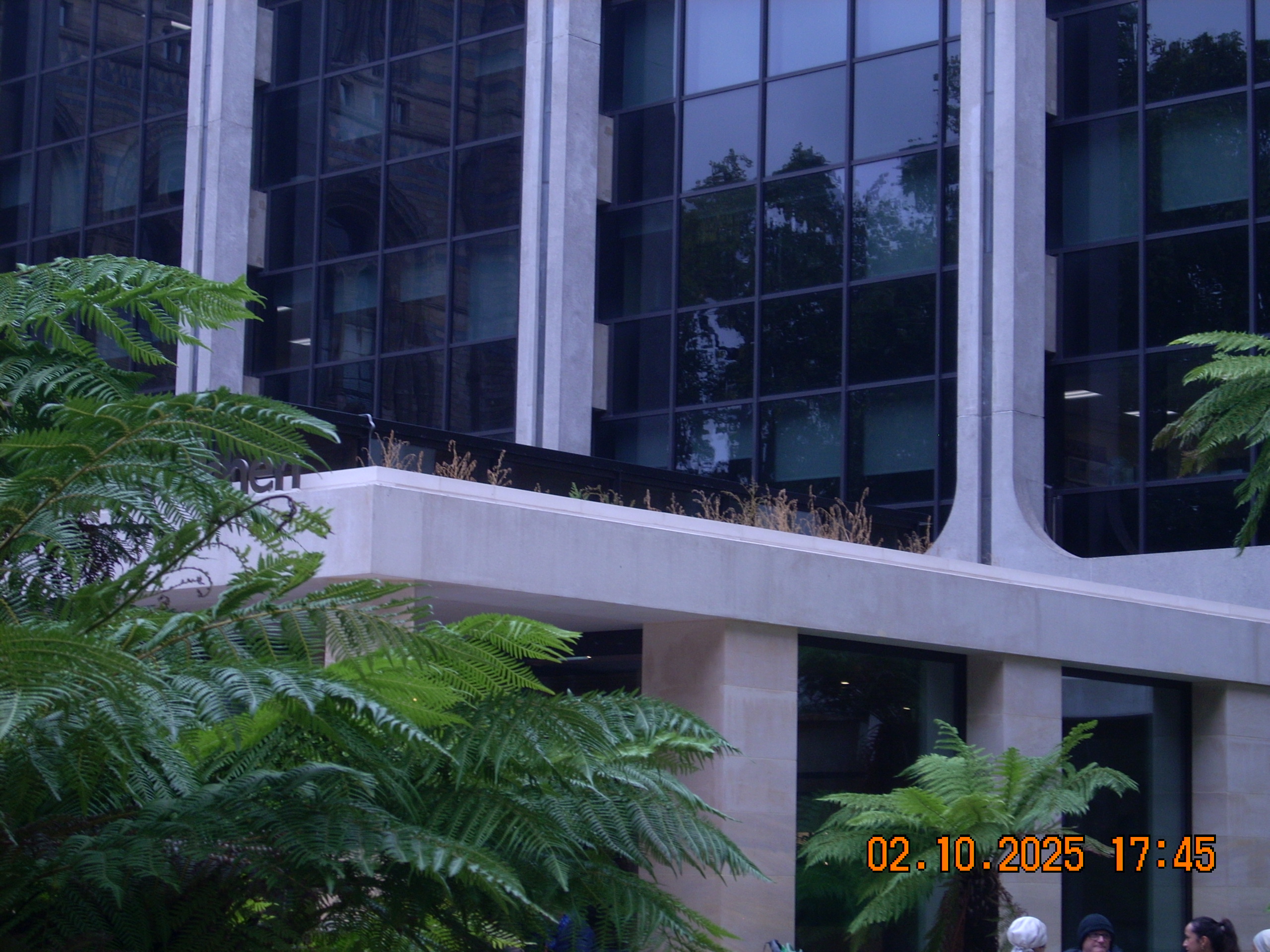 natural history building